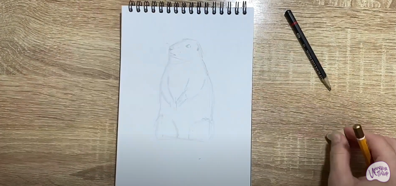Рисуем Суслик