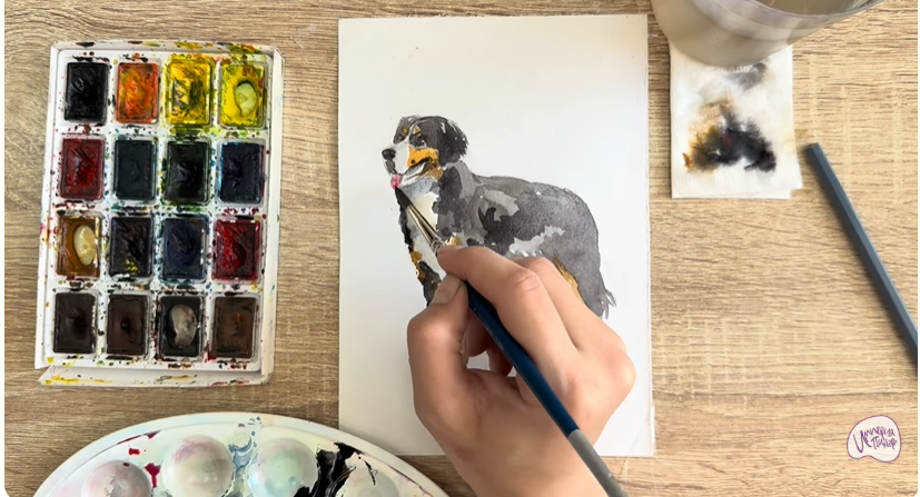 Рисуем Собака породы Бернский зенненхунд