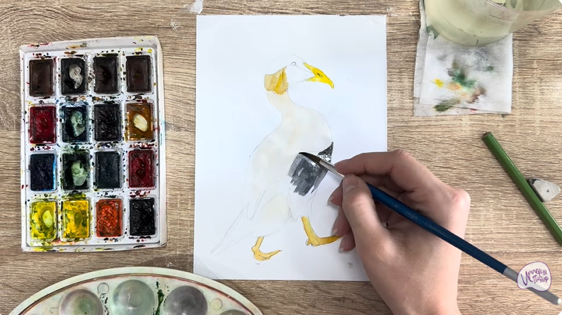 Рисуем Обыкновенная гага