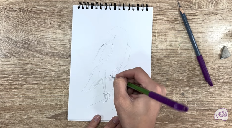 Рисуем Хохлатый осоед