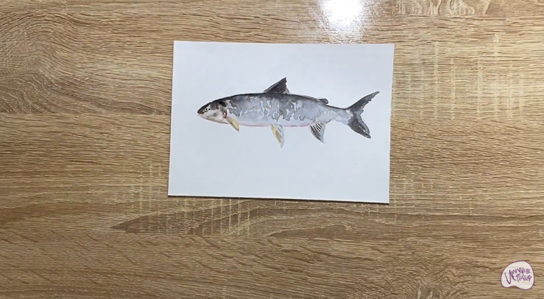 Рисуем Сиг