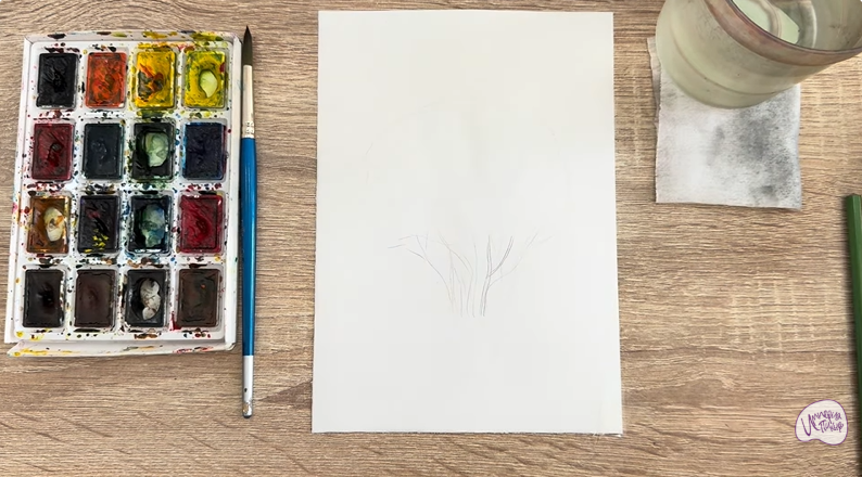 Рисуем Саженец бирючины