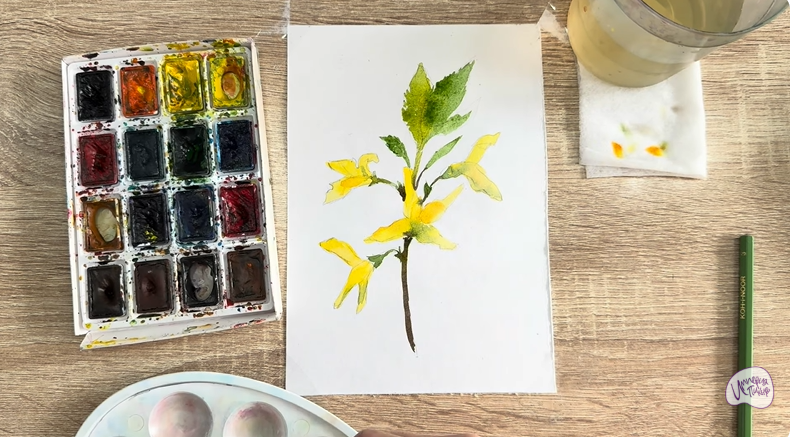 Рисуем Форзиция