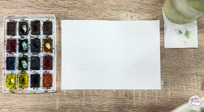 Рисуем Макадамия