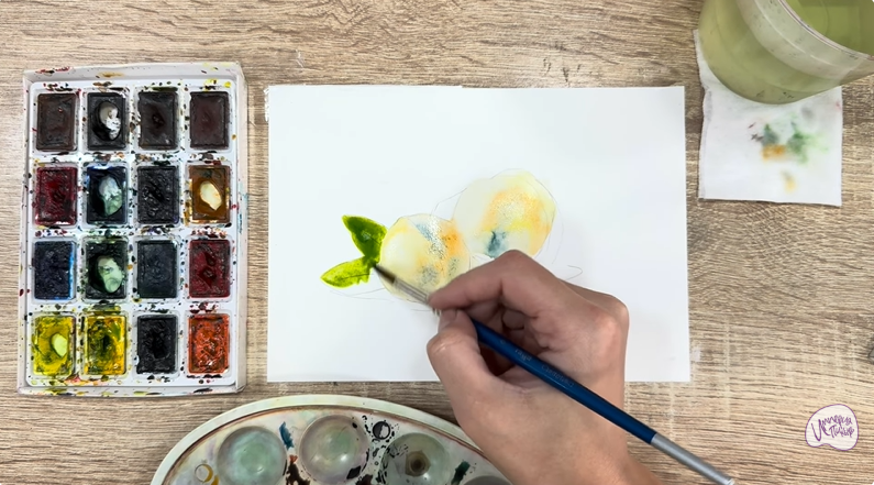 Рисуем Макадамия