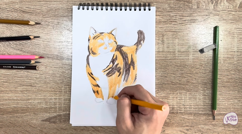 Рисуем Кошка породы "Манчкин"