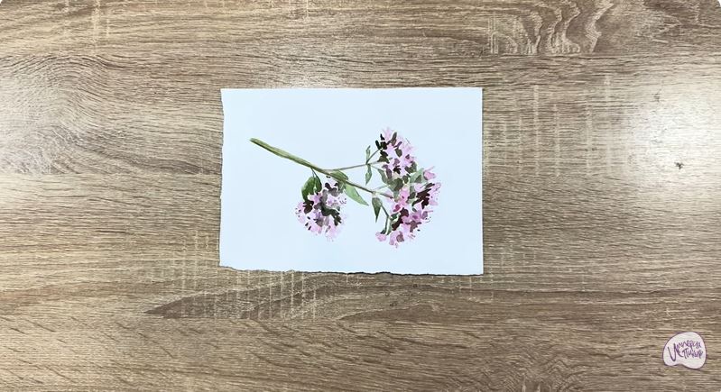 Рисуем Душица Рисуем Душица