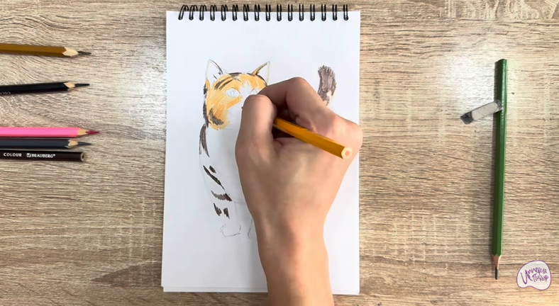 Рисуем Кошка породы "Манчкин"