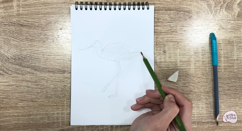 Рисуем Шилоклювка