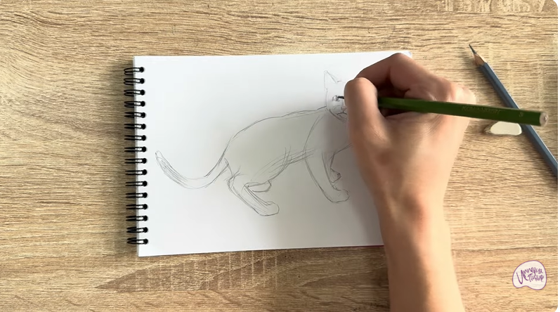 Рисуем Бомбейская кошка