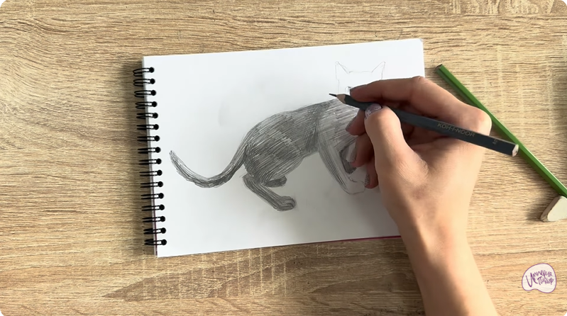 Рисуем Бомбейская кошка