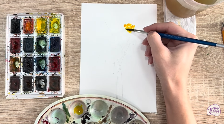 Рисуем Бессмертник