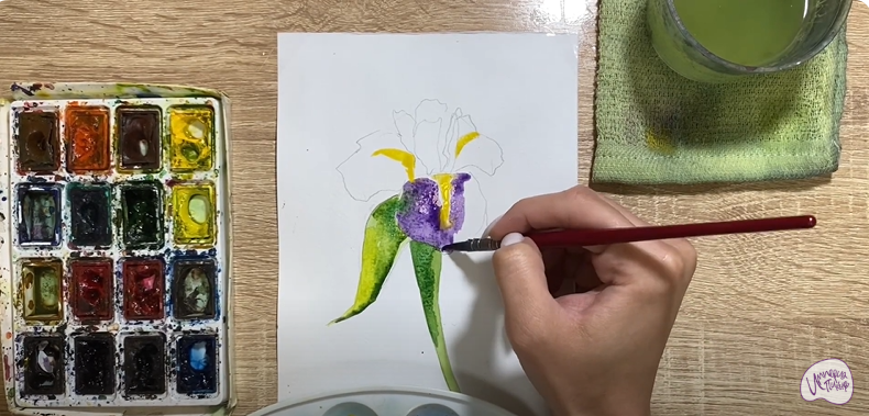 Рисуем Ирис