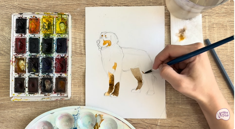 Рисуем Собака породы Бернский зенненхунд