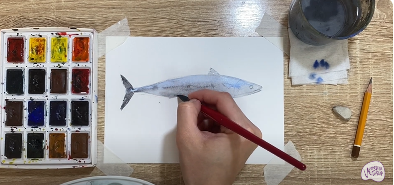 Рисуем Скумбрия