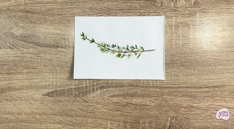 Рисуем Тимьян