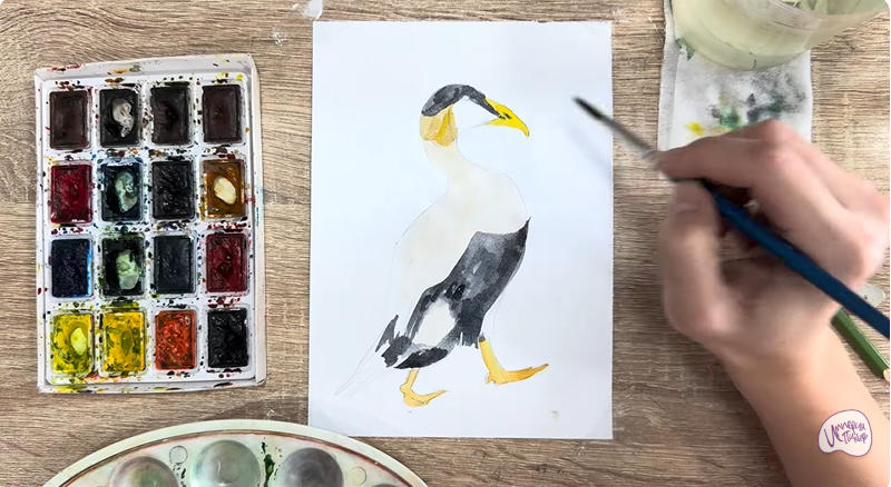 Рисуем Обыкновенная гага