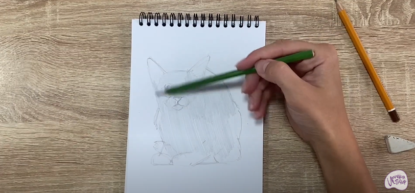 Рисуем Балинезийская кошка