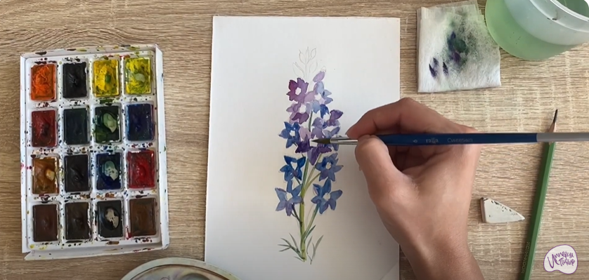 Рисуем Живокость