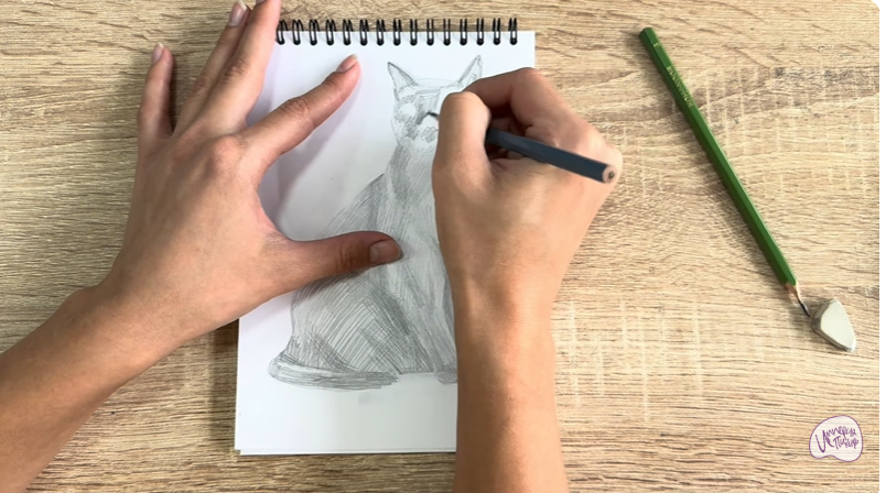 Рисуем Бурманский кот