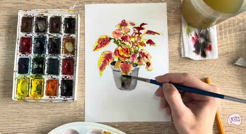 Рисуем Колеус в горшке