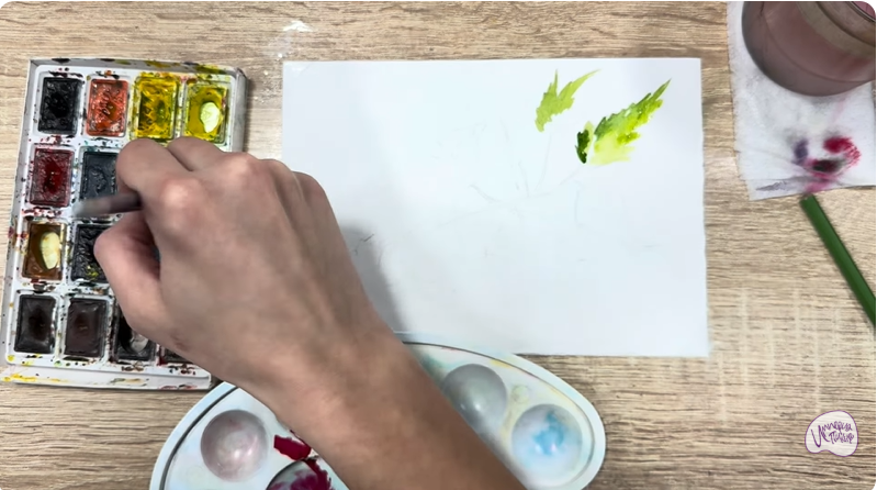 Рисуем Таволга