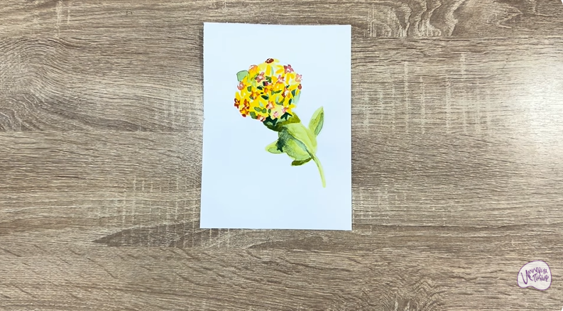 Рисуем Хойя