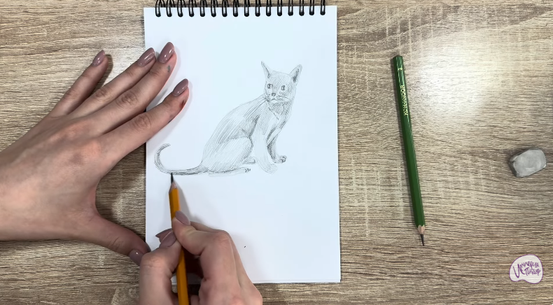 Рисуем Кот породы "Корат"