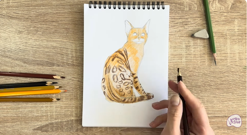 Рисуем Кошка Тойгер