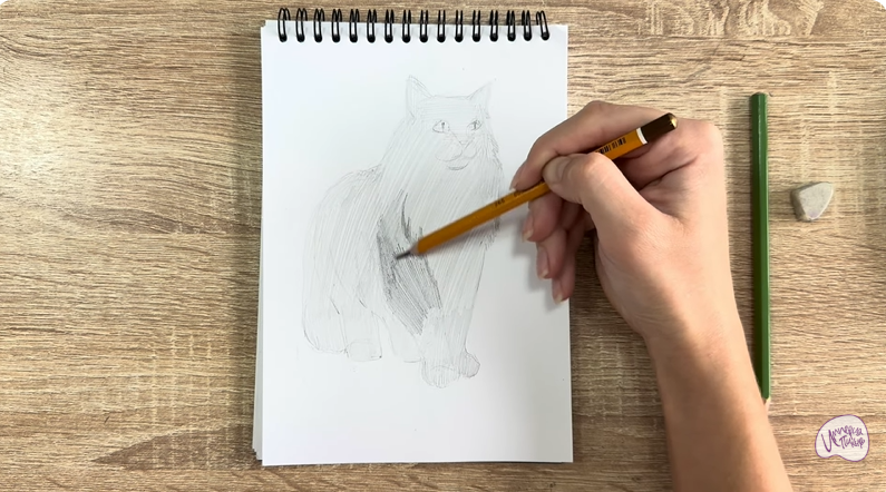 Рисуем Норвежский лесной кот