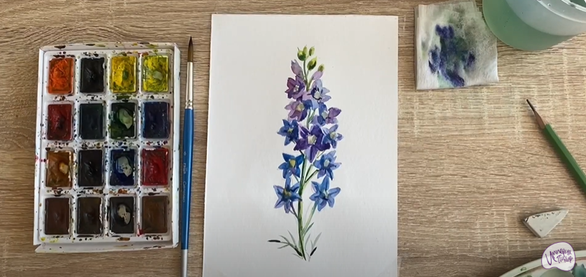 Рисуем Живокость