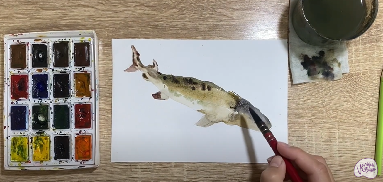 Рисуем Стерлядь