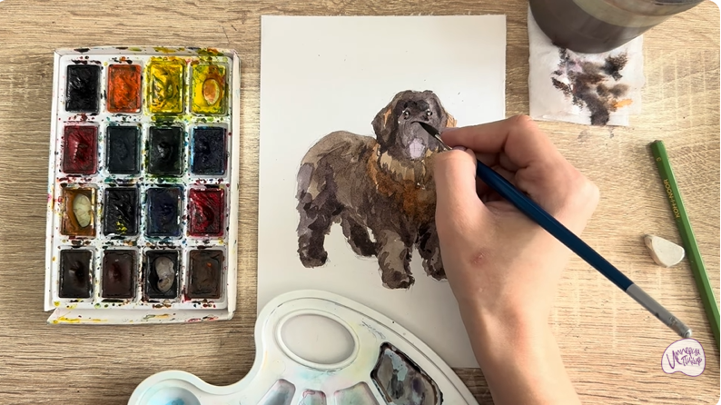 Рисуем Собака породы Ньюфаундленд