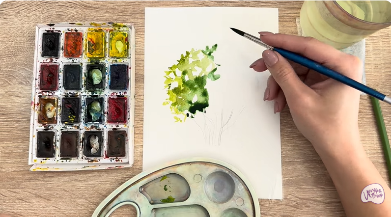 Рисуем Саженец бирючины