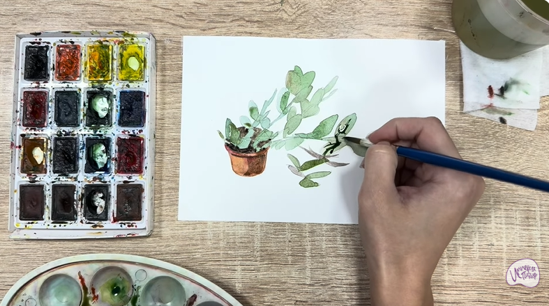 Рисуем Пеллиония в горшке