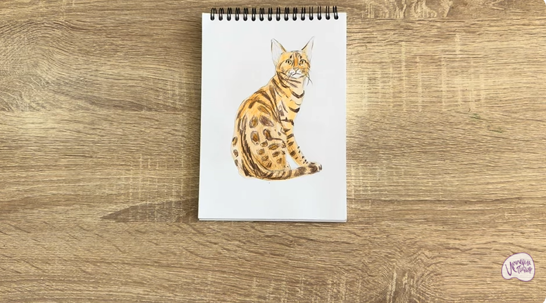 Рисуем Кошка Тойгер