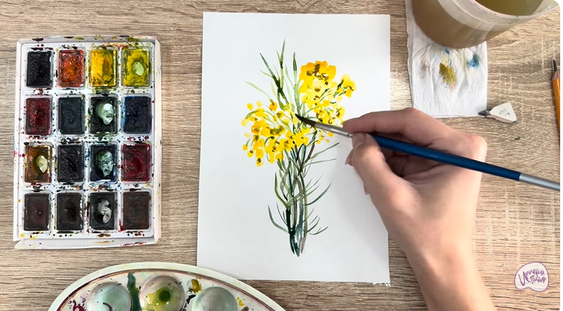 Рисуем Бессмертник