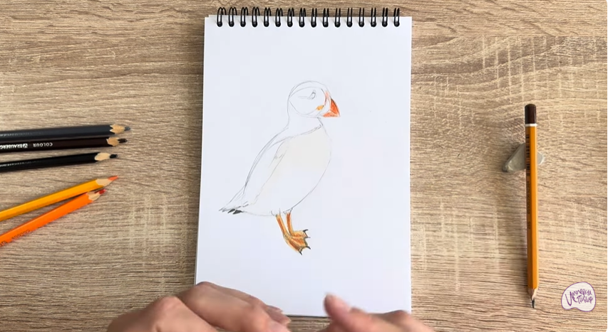 Рисуем Птица тупик