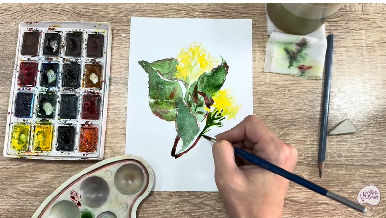 Рисуем Диервилла