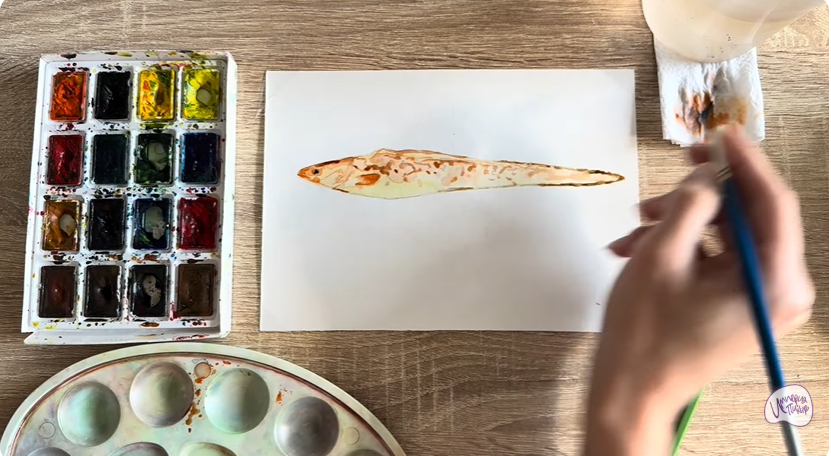 Рисуем Конгрио