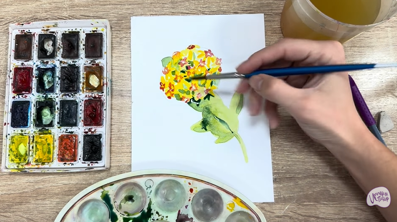 Рисуем Хойя