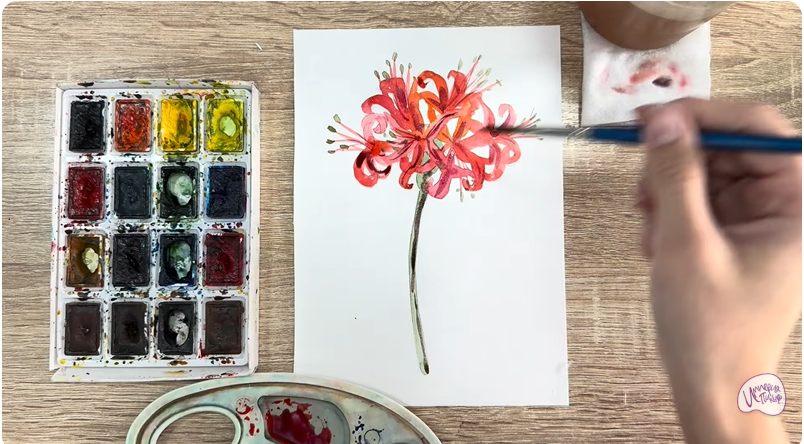 Рисуем Ликорис