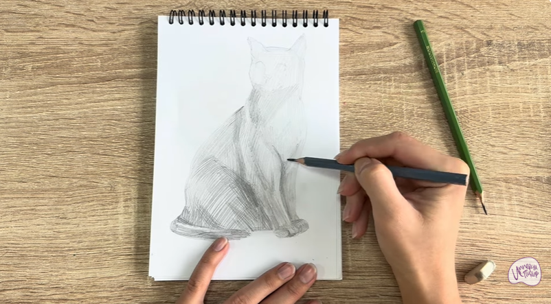 Рисуем Бурманский кот