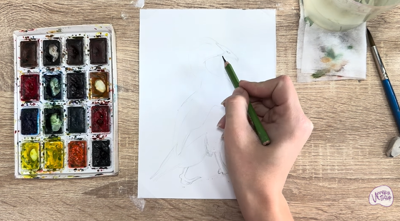 Рисуем Обыкновенная гага