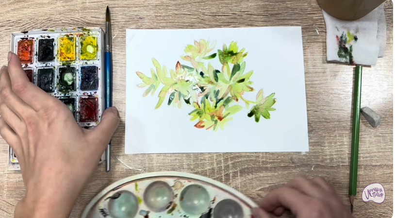 Рисуем Очиток