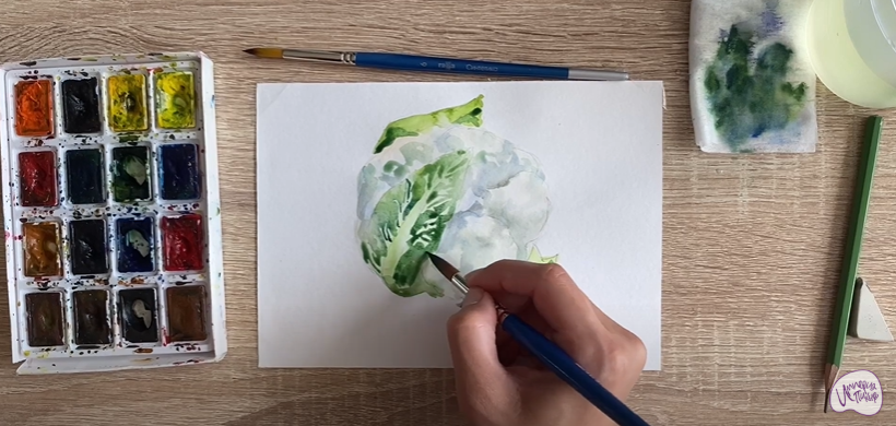 Рисуем Цветная капуста