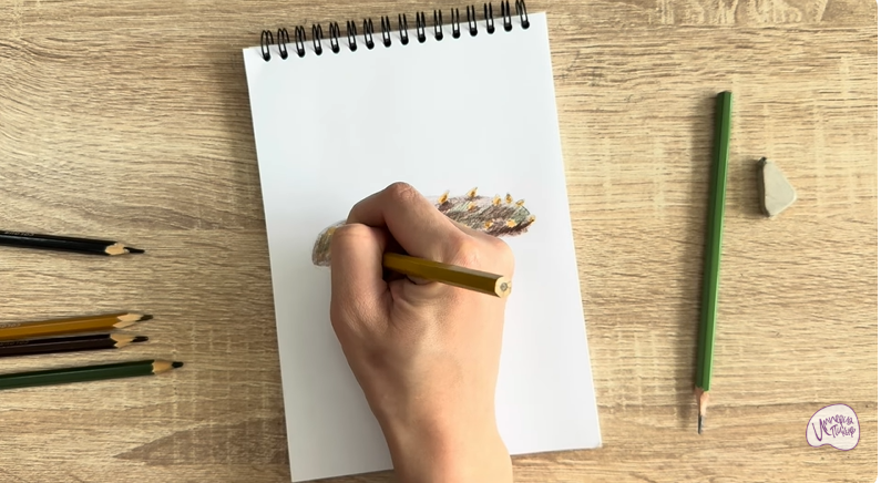 Рисуем Голотурия