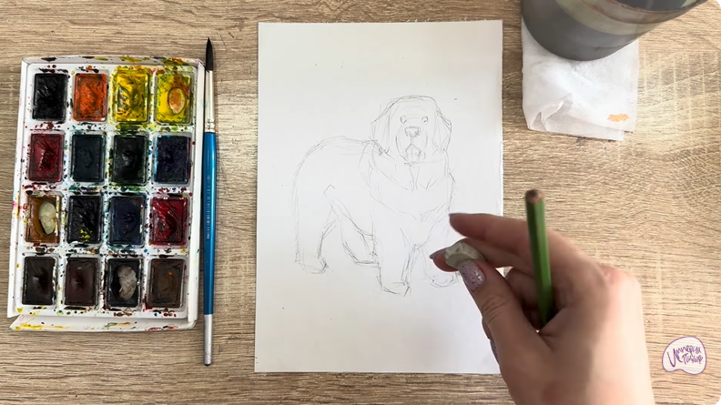 Рисуем Собака породы Ньюфаундленд