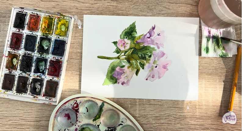 Рисуем Алтей лекарственный