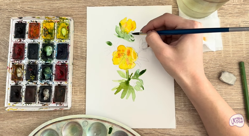 Рисуем Лапчатка